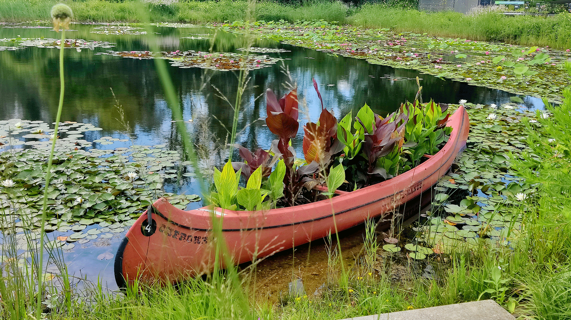 Jugendgruppe Gartenfexer Metten