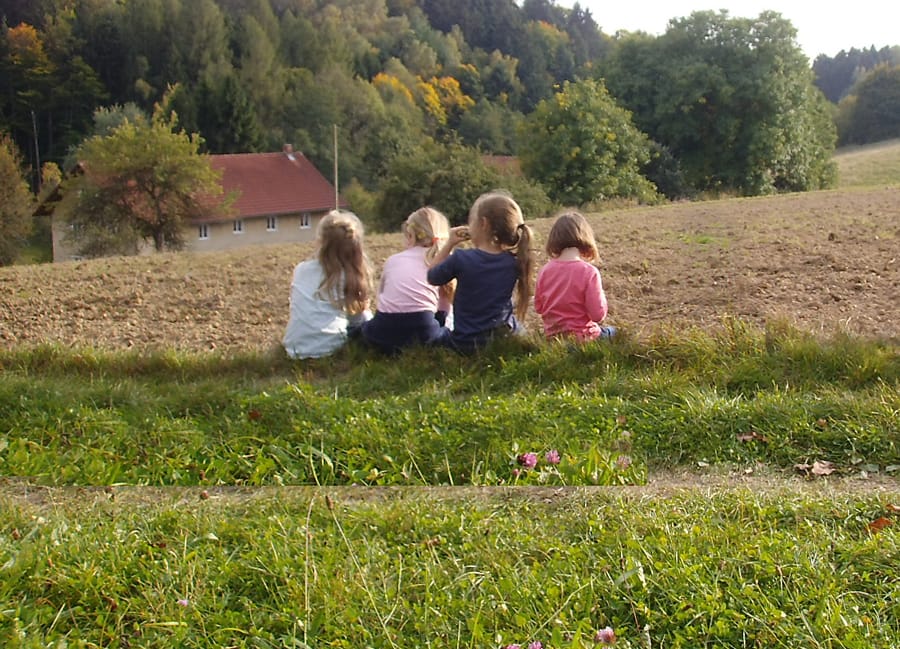 Die Mettner Gartenfexer