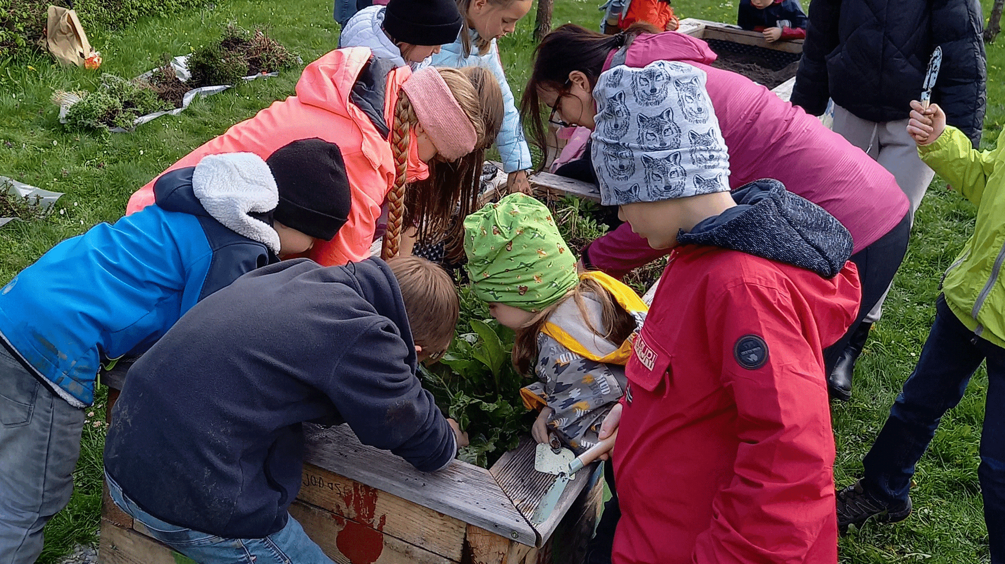 Jahresrückblick 2023 der Gartenfexer